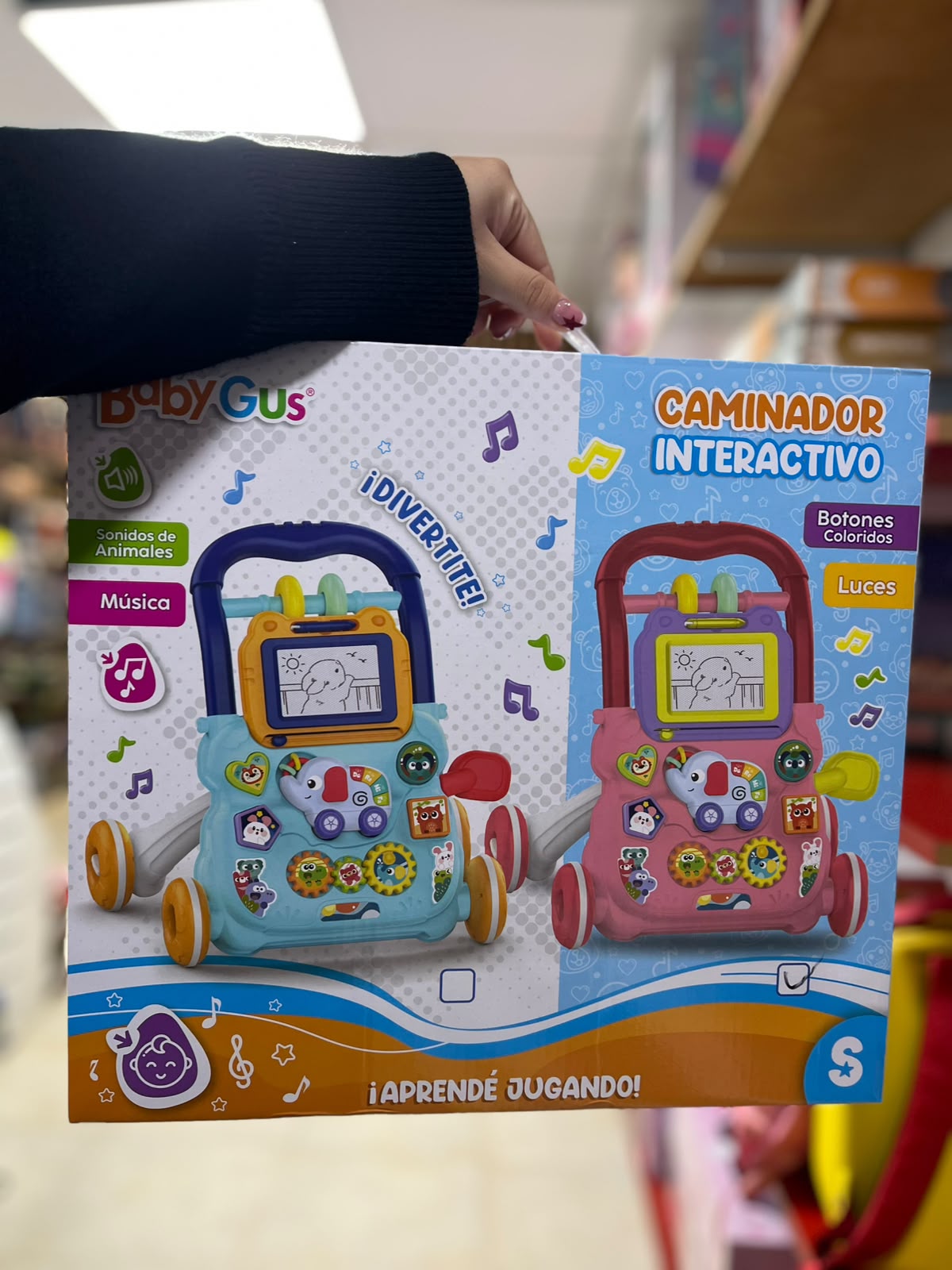 Caminador Interactivo.