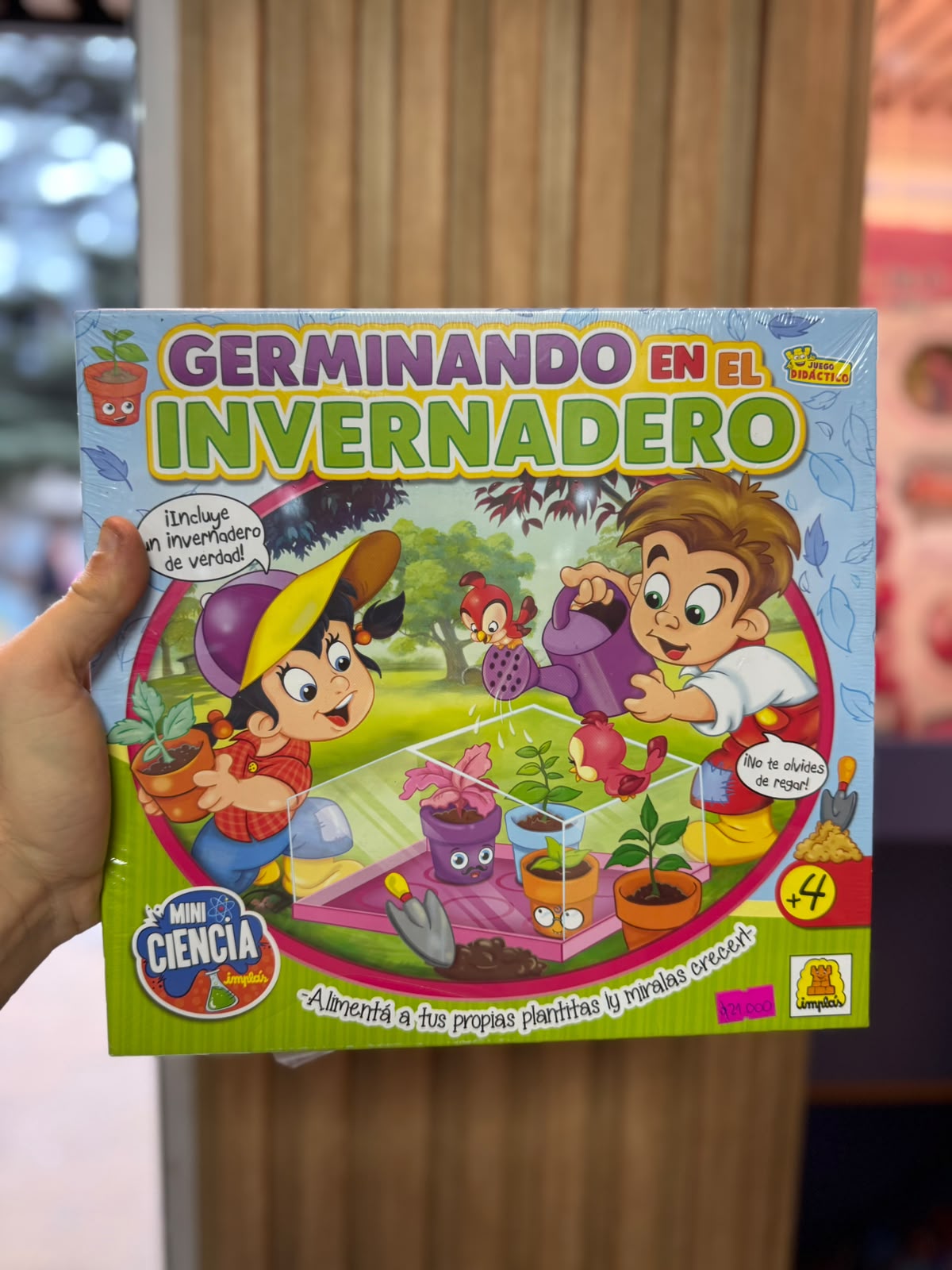Germinando en el Invernadero
