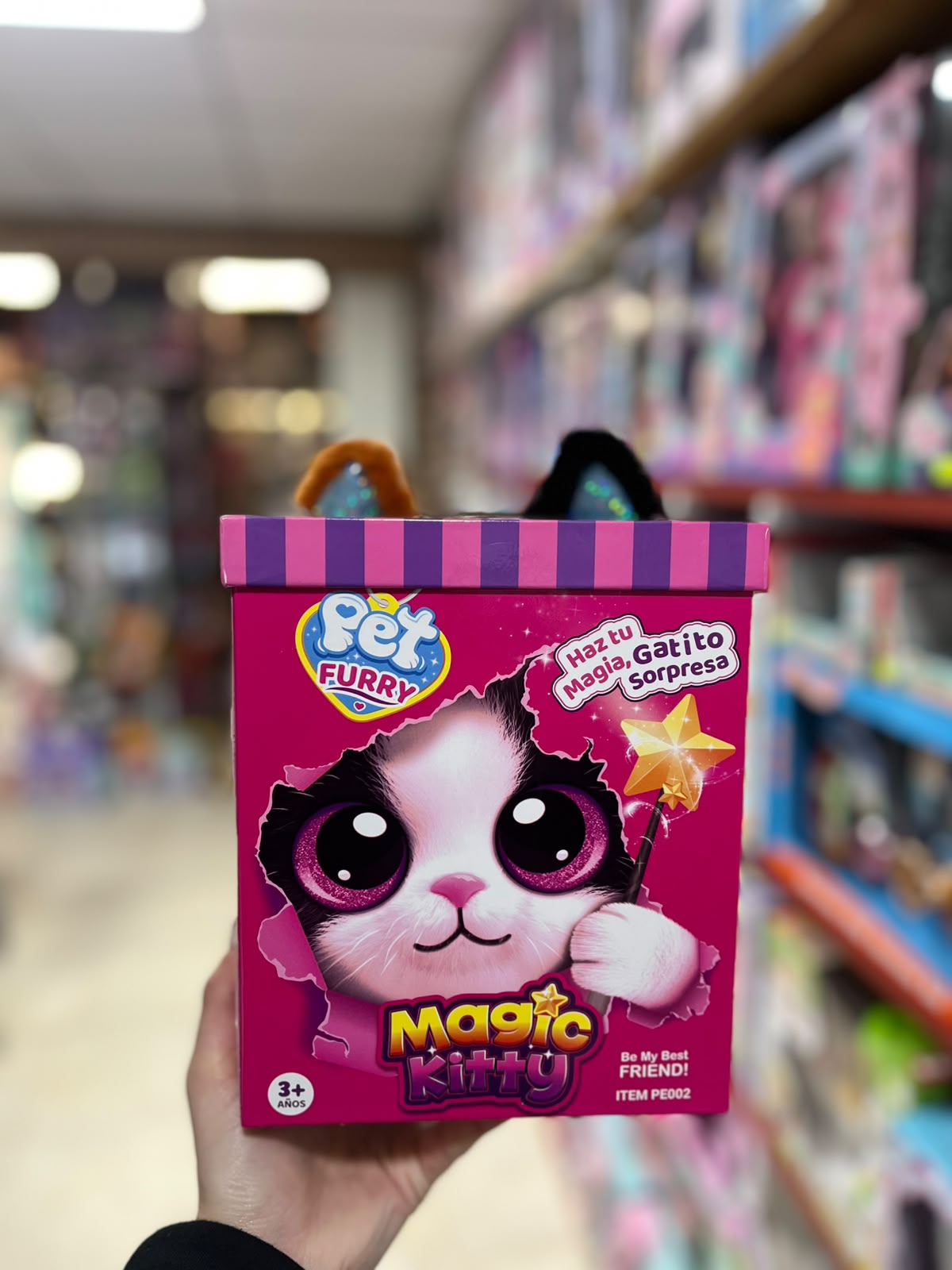 Magic kitty